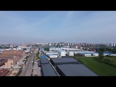 Rendimiento global vietnamita